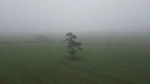 Aerial video over the green fields with heavy fog in Newport UK Stock Footage 280928383