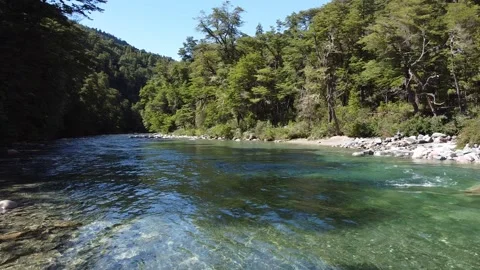 Aerial Video Over a Pristine Blue River, Surrounded by Green Trees, Bariloche Stock Footage 147975450