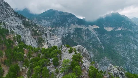 Aerial Video of Pine Forest Surrounding Mountain Rocks Stock Footage 334114930