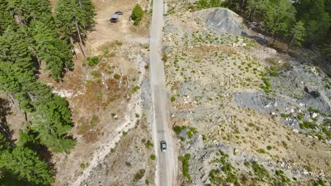Aerial Video of Pine Tree Tops Against Blue Sky Stock Footage 334113705