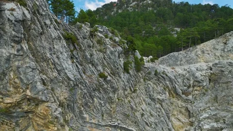 Aerial Video of Pine Trees Covering Mountain Slopes 4K Drone Stock Footage 334114750