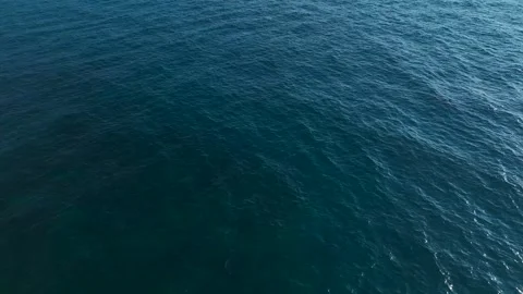 Aerial Video of a Pristine Beach With Fine Textured Sand and Clear Blue Waves Stock Footage 301368035