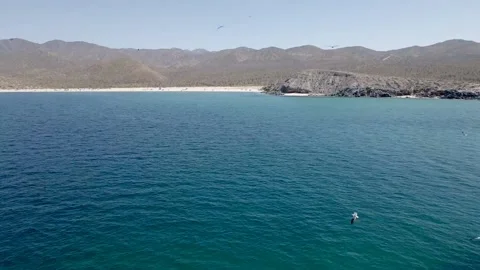 Aerial Video Rising over Ocean, Beach and Mountains Stock Footage