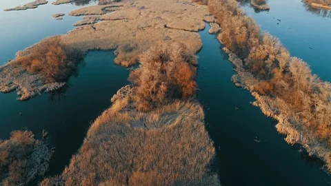 Aerial video, river 库存影片 104221530