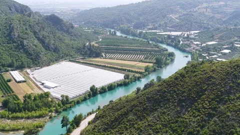 Aerial Video of River Passing Mountain Farms with Fruit Trees and Greenhouses Stock Footage 343730431