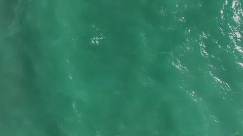 Aerial Video: Rolling storm waves leave intricate foam designs along the sandy Stock Footage 300902117