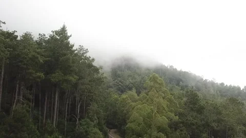 Aerial video of Sarangan, East Java, Indonesia Stock Footage 243717339