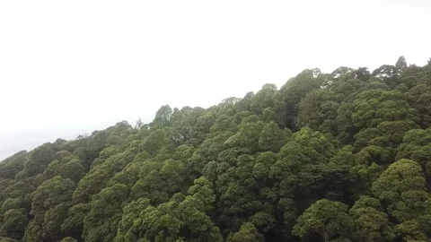 Aerial video of Sarangan, East Java, Indonesia Stock Footage 243717449