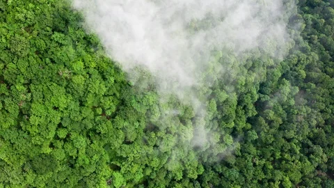Aerial video shooting. Thick clouds over the mountains. Vidéo 110354445
