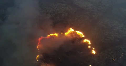 Aerial video top view of the start of a forest fire at nightfall. Ecology c.. Stock Footage 246756830