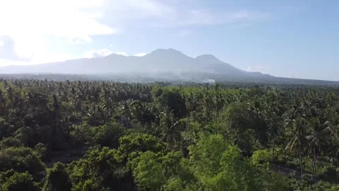 Aerial video of trees and ocean Stock Footage 183669073