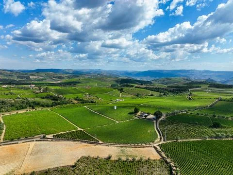 Aerial video of vineyard patchwork and old house in Portugal 스톡 사진