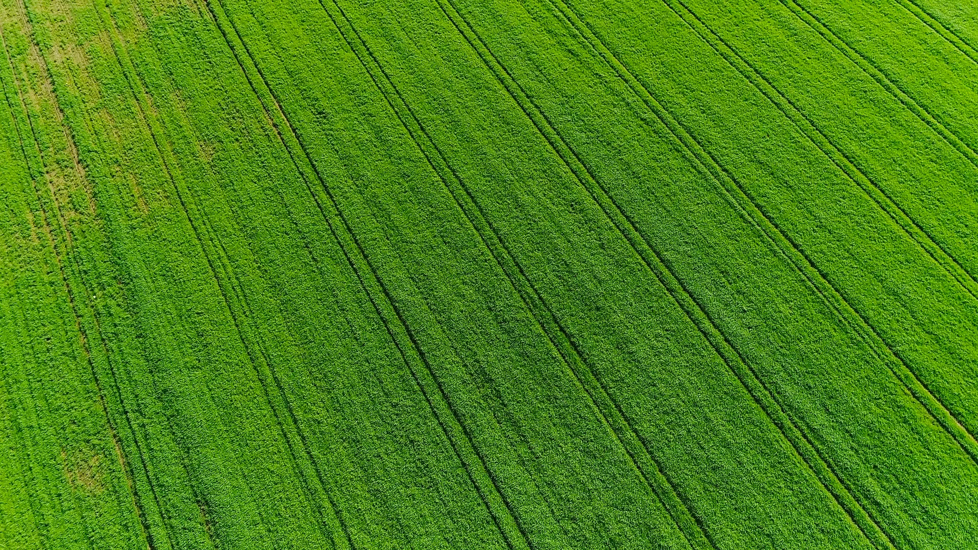 From field. Поля с воздуха. Поле вид сверху. From field. Ирландия с высоты птичьего полета.