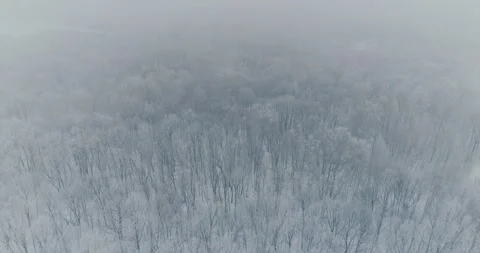 Aerial video of winter forest Stock Footage 150493801