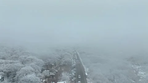 Aerial view of the 1100 Altitude Wetland covered with pristine snow Stock Footage 296463853