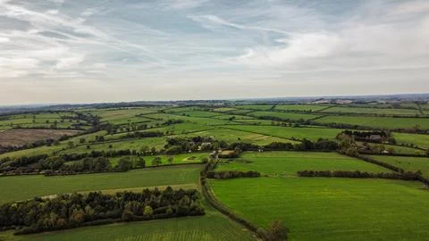 Aerial view 4k deciduous trees, alpine forest and woodland Foto stock