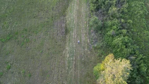 Aerial View 4K drone over forest tracking following a person down a path Stock Footage 314617701