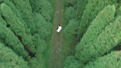 Aerial view. 4k. Fly over woman in white long dress running among tall green Video stock 123506835