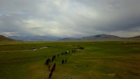 Aerial view 4k herd galloping 3 Stock Footage 84601517