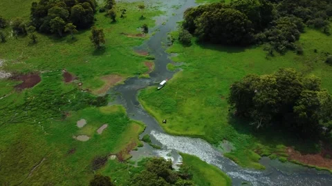 Aerial view 4K of the largest swamp in Asia Stock Footage 290233451