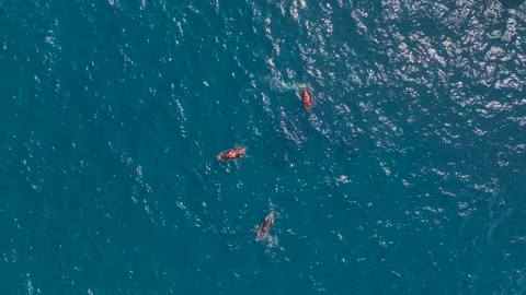 Aerial View 4K: Sea Spray and Sun - Adventurous Flyboard Performance Stock Footage 293478024