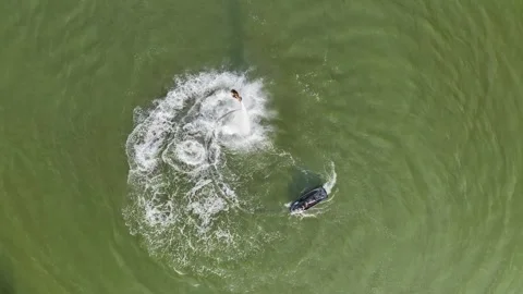 Aerial View 4K: Soaring Over the Sea - Mediterranean Flyboard Mastery Stock Footage 293509979