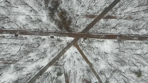 Aerial view 4k from top to bottom park, snow-covered paths and walking people Stock Footage 150368372