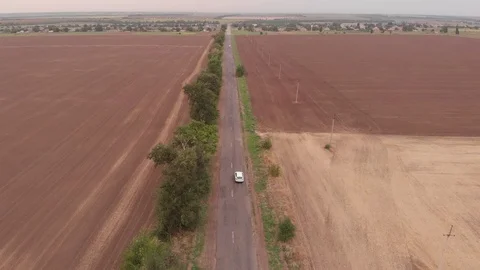 Aerial view in 4K. White car moving on the road between wheat fields at countrys 動画素材 114277349
