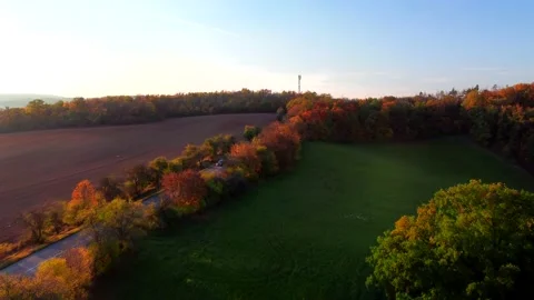 Aerial view on 5G mobile cell signal antenna Stock Footage 219422934