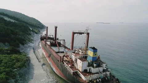 Aerial view of abandoned cargo ship. Bulk carrier ran aground after the storm Video stock 208390799