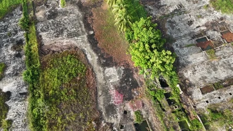 Aerial View of Abandoned Concrete Complex Overgrown with Vegetation Vídeo Stock 347442153