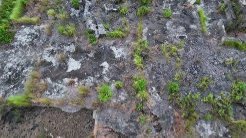 Aerial View of Abandoned Concrete Structure Overgrown with Weeds Stock-Footage 347459903