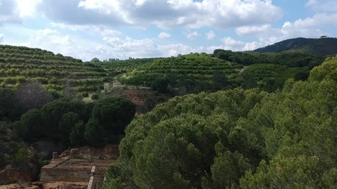 Aerial view of abandoned forest in Rio Tinto with lake and river with red water Stock Footage 129963924