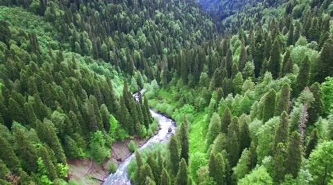 Aerial view above Caucasus mountain in Abkhazia Stock Footage