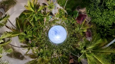 Aerial view above a circular pool surrounded by palms Vidéo 345392880
