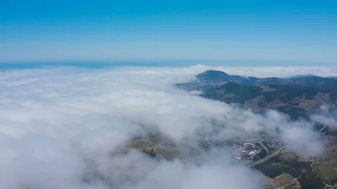 Aerial view above clouds of vineyard covered hills Stock Footage 119570631