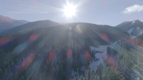 Aerial view above coniferous forest Stock Footage 103264129