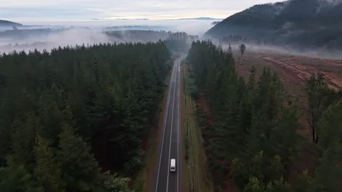 Aerial view above an empty highway between pine forest with a white van driving Stock Footage 344073130