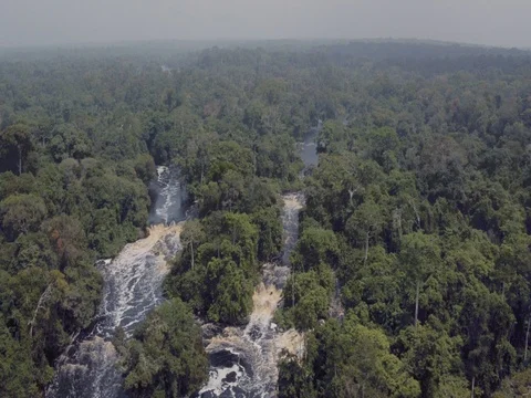 Aerial view above fast stream inside equatorial trees in Africa Gabon 2015 Stock Footage 82355095