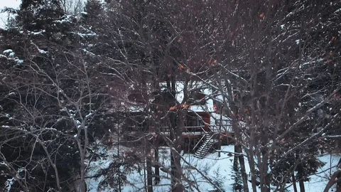 Aerial view above the forest at Eagle Lake, Canada Stock Footage 99988955