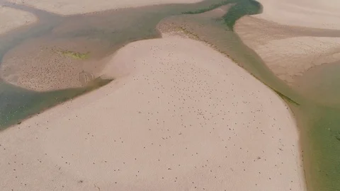 Aerial View Above Ocean Beach with Lagoon Stock Footage 82498801