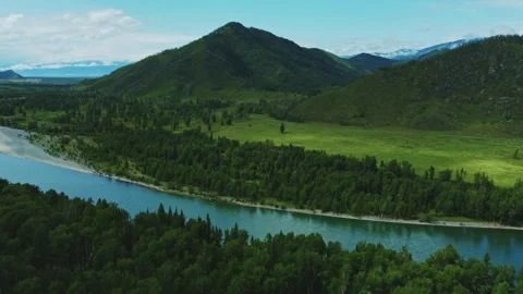 Aerial view from above over a mountain river and a green dense forest. 動画素材 317501580
