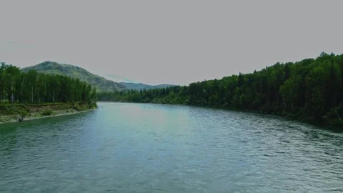 Aerial view from above over a mountain river and a green dense forest. 動画素材 317501720