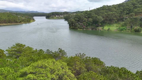 Aerial view above the pine trees with lake Stock Footage 293875914