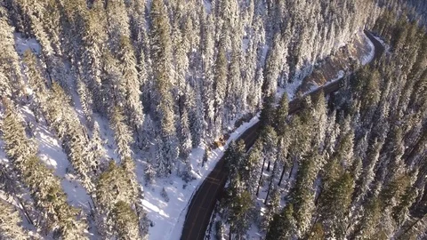 Aerial View Above A Road Through A Winter Forest Stock Footage 70246712