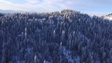 Aerial View Above A Road Through A Winter Forest Stock Footage 70254400