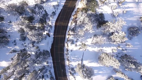Aerial View Above A Road Through A Winter Forest Stock Footage 70258759