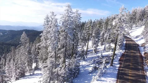 Aerial View Above A Road Through A Winter Forest Stock Footage 70259665