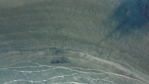 Aerial view above sandy beach with a person walking alone Stock Footage 276402971