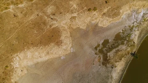 Aerial view above of a serpentine stream with riparian forest, Brazil. Stock Footage 101563457